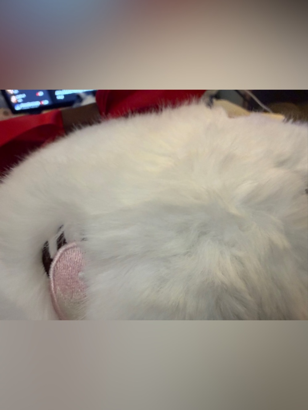 Nai Sweet Tea Bunny 600% plush doll from the ThingsWoo - Picture 8 of 12